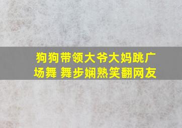 狗狗带领大爷大妈跳广场舞 舞步娴熟笑翻网友